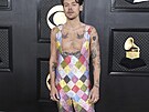 Zp�vák Harry Styles je svým výb�rem netradi�ního oble�ení proslulý. Na...