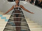 Americká zp�va�ka a tane�nice Janelle Monae p�ipomínala na Met Gala díky svému...