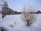 Zima u Boratkovského rybníka