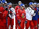 Trénink eské hokejové reprezentace ped výcarskými hrami.