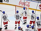 etí hokejisté dkují fanoukm po výhe 2:1 nad Finskem.