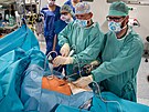 Mezi Centra vysoce specializovan� pneumoonkochirurgick� p��e byla za�azena i I....