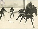 Netradiní sportovní odvtví zvané skijöring bylo v polovin 20. let k vidní v...