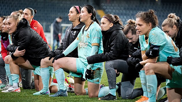 Poz�pasov� d�kova�ka sl�vistek