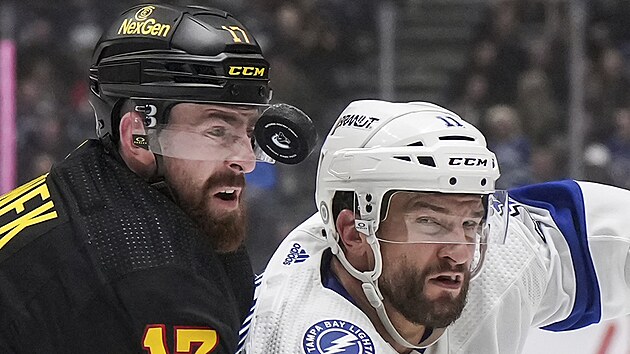 O puk bojuj� Filip Hronek (vlevo) z Vancouveru a Luke Glendening z Tampy.