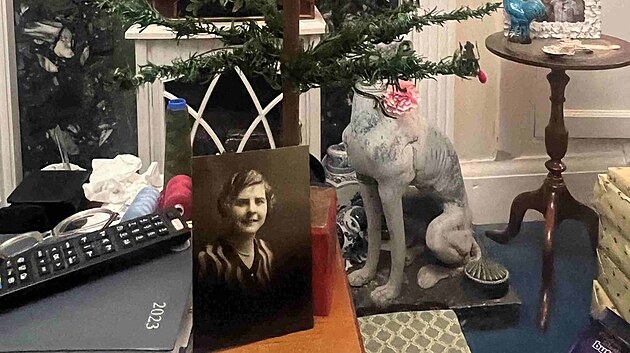 Nejskromnj stromeek na svt, kter patil Britce Dorothy Grantov, se vydrail za neuvitelnch bezmla 100 tisc korun. Na snmku je stromeek s fotkou Dorothy Grant v mld.