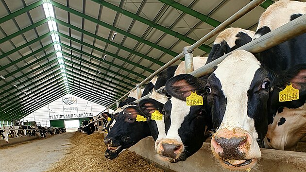 Podle ��fky ZD Un�ovic dru�stvo s�z� na to, �e jen to nejzdrav�j�� a nejspokojen�j�� zv��e ud�l� dobr� ekonomick� v�sledek. Podle toho se jim sna�� vytv��et podm�nky.