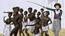 Nizozemská Guyana, 1772. Bílý otroká pohání otroky, kteí práv dorazili pes...