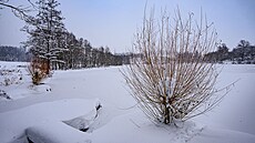 Zima u Boratkovského rybníka