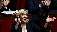 Marine Le Penová, pedsedkyn krajn pravicové strany Národní sdruení (RN),...