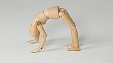 Slo�it�j�í, ne� se zdá. Pitvy umo��ují instruktor�m jógy nahlédnout do...