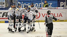 Vítkovi�tí hokejisté se radují z gólu.