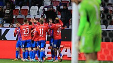 Plzetí fotbalisté se radují z gólu v utkání proti eským Budjovicím.