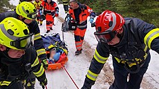 Hasi�i a záchraná�i pomáhají d�evorubci, kterého p�i kácení u Jind�ichovic...