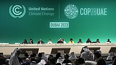 Na konferenci OSN o zmn klimatu COP28 mluví ministr prmyslu Spojených...