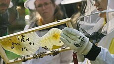 Hlásit se m��ete do 31. prosince 2023. Dlouho se v�ak nerozmý�lejte, po�et...