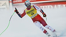 Rakouský lya Vincent Kriechmayr v cíli super-G ve Val Garden.
