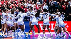 Házenkáky Francie se radují z titulu mistry svta.