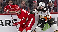 Robby Fabbri (14) z Detroitu a Radko Gudas (7) z Anaheimu bojují o puk.