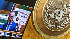 ilustra�ní snímek