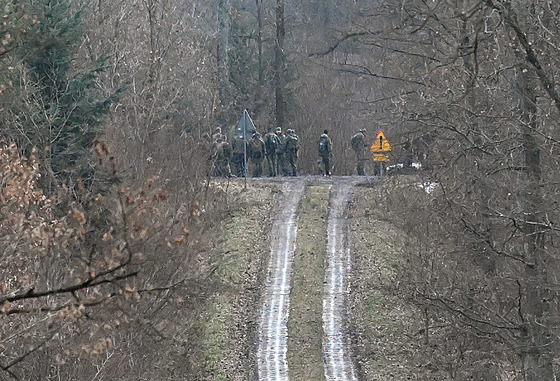 Poltí vojáci hlídkují u obce Sosnowa-Debowa poté, co do vzduného prostoru...