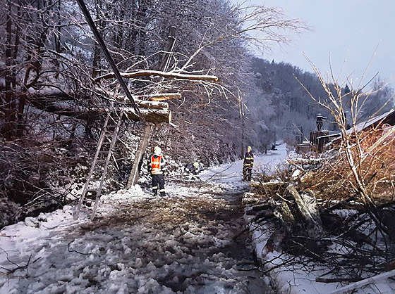 Hasii Libereckého kraje zasahují u spadlého stromu pes cestu. (21. prosince...