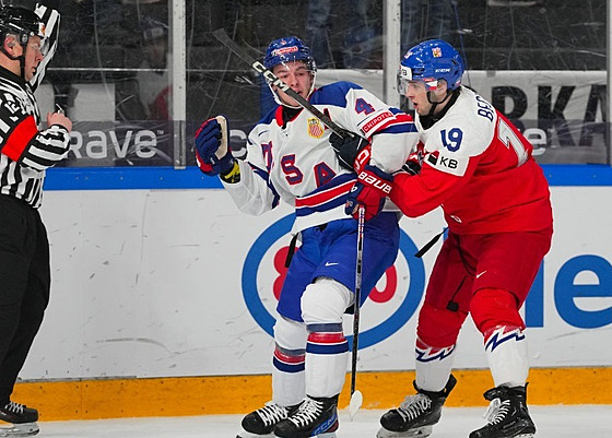 eský hokejista Ondej Becher (vpravo) v souboji s Amerianem Gavinem...