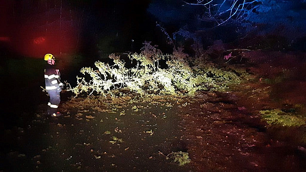 Vichr bude i o Vánocích, na horách přibude až 40 centimetrů sněhu