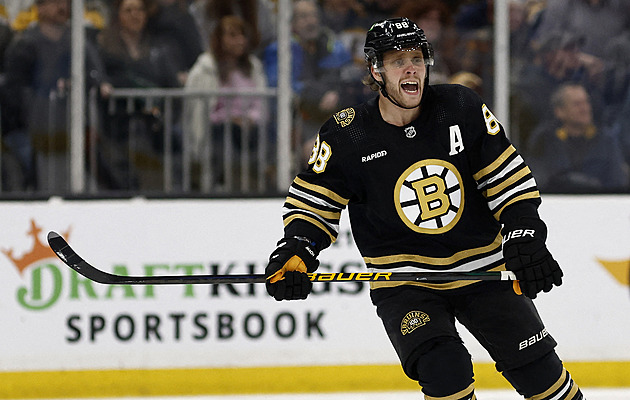 Pastrňák dvacátým gólem porážce nezabránil. Všichni Češi ze San Jose bodovali