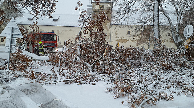 Bez proudu jsou stále desetitisíce odběrných míst. Opravy vedení ztěžuje počasí