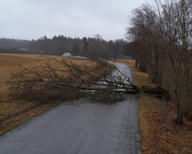 Tisíce domácností zůstaly kvůli větru bez proudu, hlavně na západě a jihu Čech