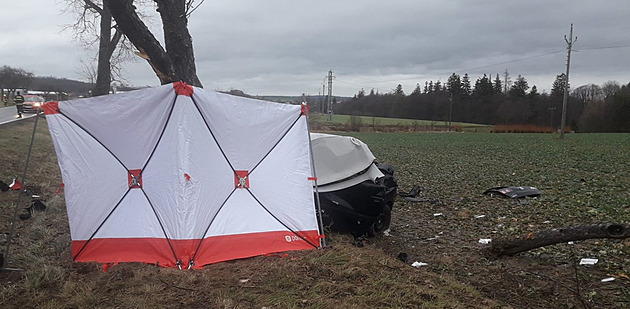 Při nehodě na Chebsku zahynuli řidič i dva spolujezdci, narazili autem do stromu