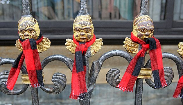 OBRAZEM: Reportéři zachytili lví čtyřčata i andělíčky ve flanelu