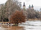Voda stoupla i v Hradci Králové. (26. prosince 2023)