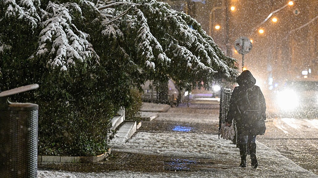 Sníh vpodveer na praském ikov (23. prosince 2023)