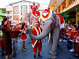 Uitelé a áci ekají na dárky od slon obleených v kostýmech Santa Clause...