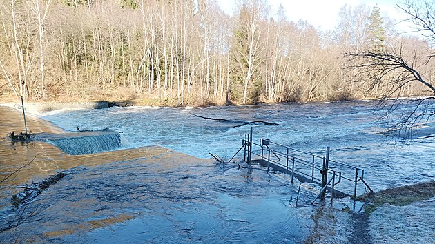 Rozvodnn Vltava v Herbertov u Vyho Brodu (28. prosince 2023). V lt tudy propluj tisce vodk.
