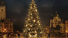 Vánoní strom bude mít letos barvy hlavního msta, ervené, vínové a zlaté....