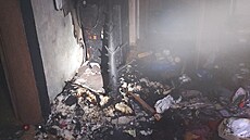 Po�ár váno�ního stromku v Karlín� zp�sobil �kodu za 300 000 korun. (24....