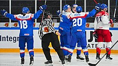 Sloventí hokejisté se radují ze vstelené branky.