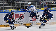 Gólová radost hokejist� �eských Bud�jovic