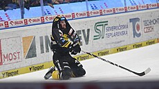 Litvínovský útoník David Kae po ataku ped brankou