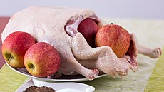 ilustra�ní snímek