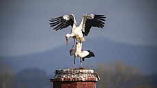 �apí láska na komín�, první dáma na veletrhu skla a bi�uterie �i rozmary...