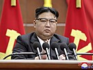 Vdce KLDR Kim ong-un na ptidenním zasedání vládnoucí strany (30. prosince...