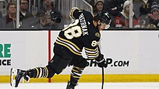 St�ela Davida Pastr�áka