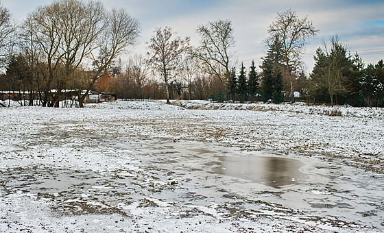 Na polích se po detích a následných mrazech vytvoila ledová krusta