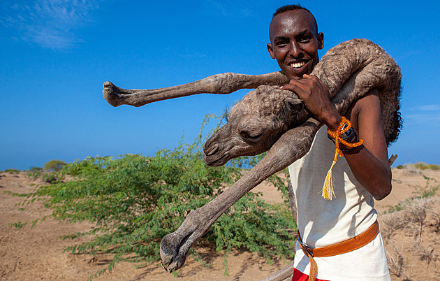 Etiopie vykročila k Rudému moři. Somaliland vyhlíží uznání nezávislosti