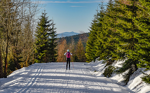 Krkonošská odysea. Udržovanou trasou jedeme ze Strážného na Černou horu