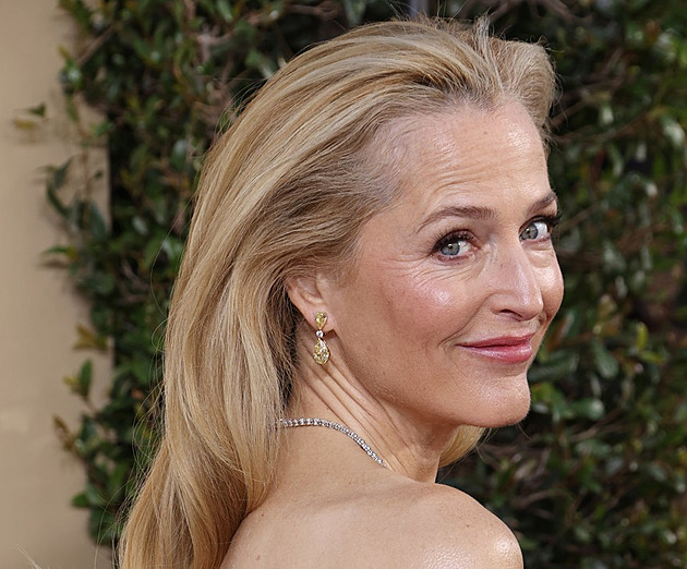 Hodí se k mé značce, vysvětlila Gillian Andersonová šaty s vagínami